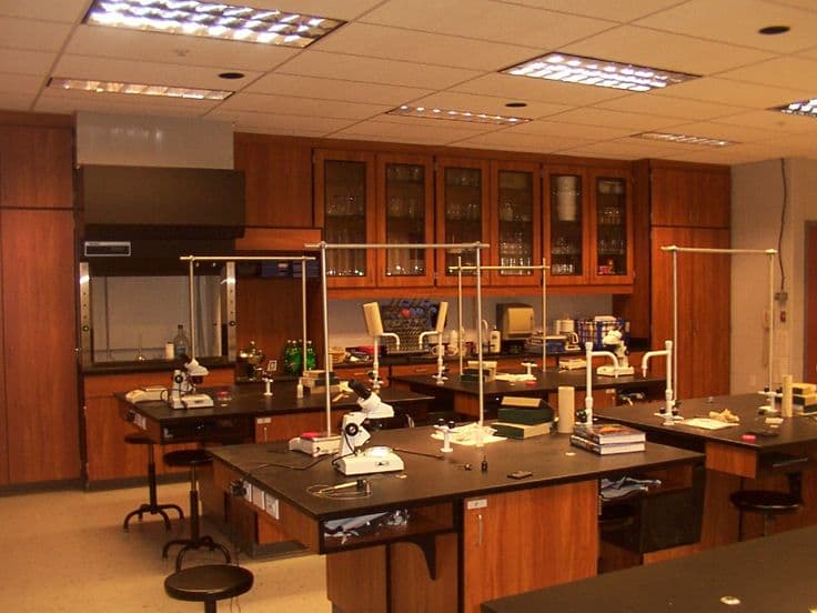 Biology lab specimens and models