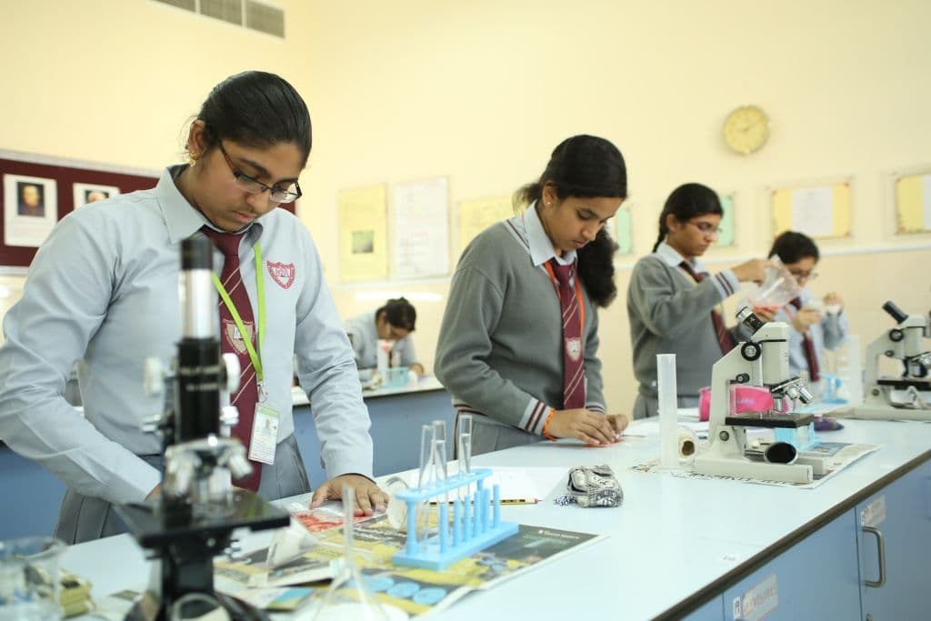 Biology lab anatomy models